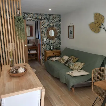 公寓 Le Clos Des Lauriers 卡尔卡松